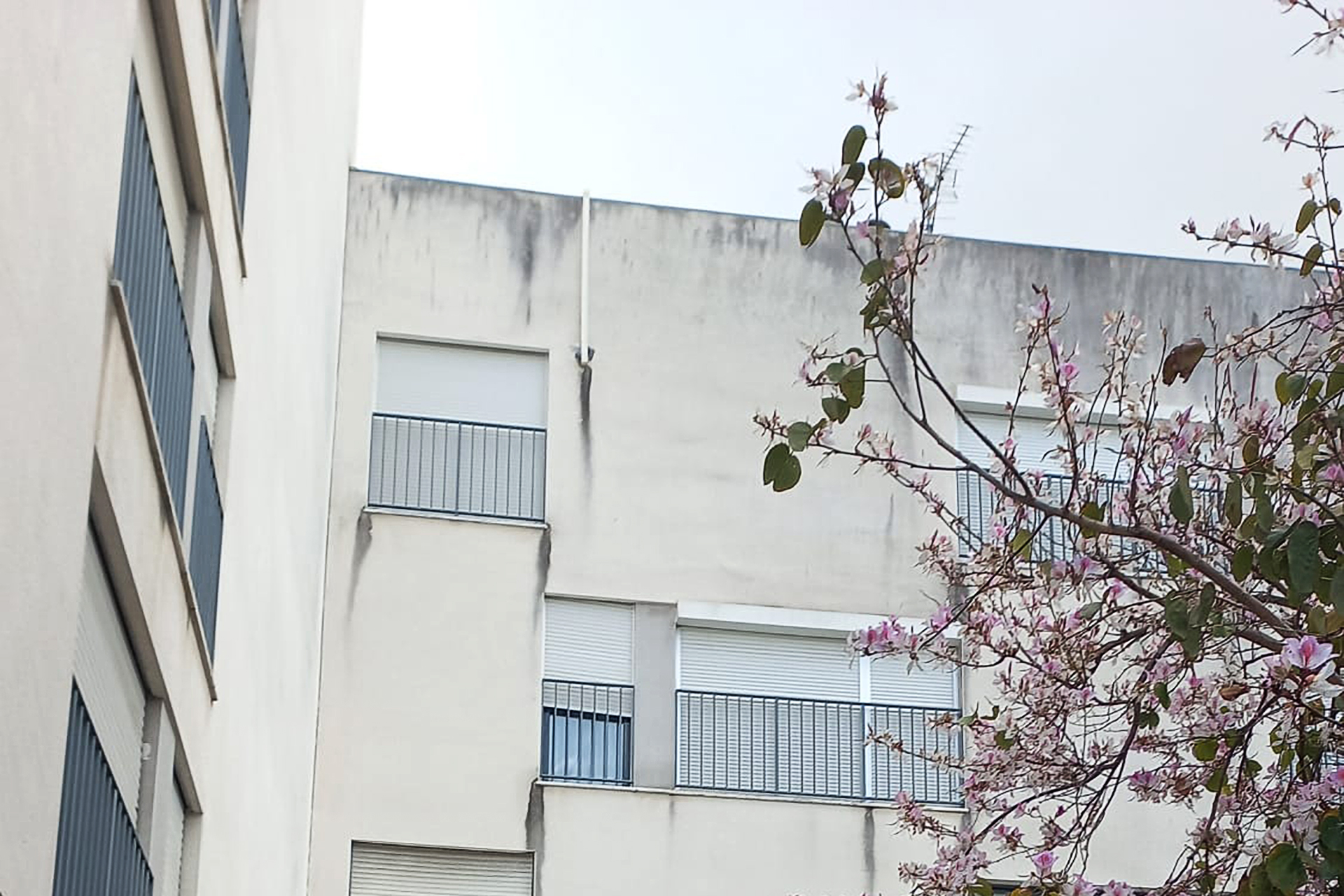 Rua-Bissaya-Barreto_Odivelas_ANTES_03_a